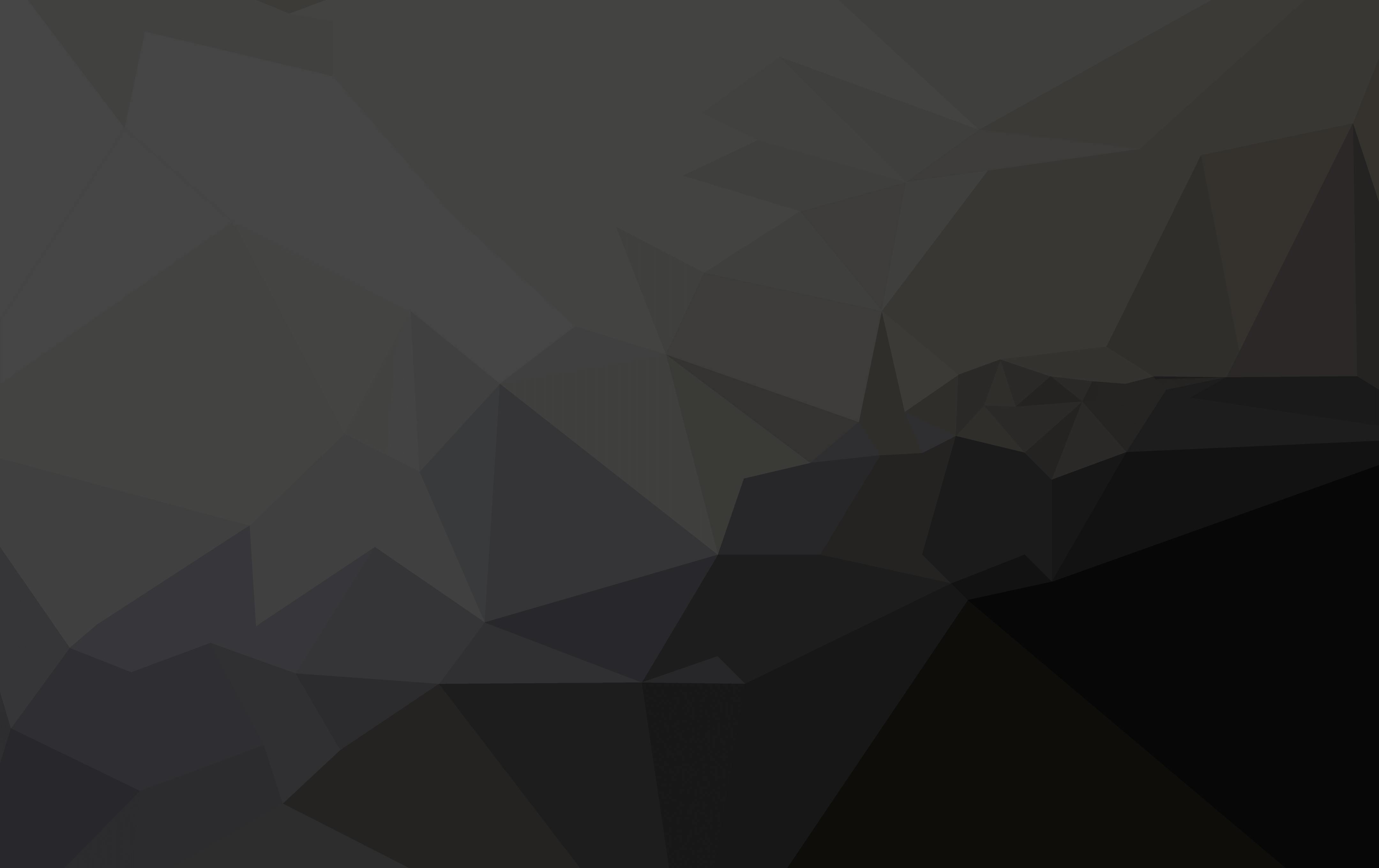 Fully Licensed, Insured and Certified