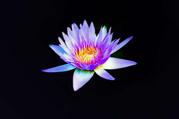 **Nurturing Inner Peace in a Busy World**