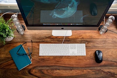 Basic Website Builder Plan