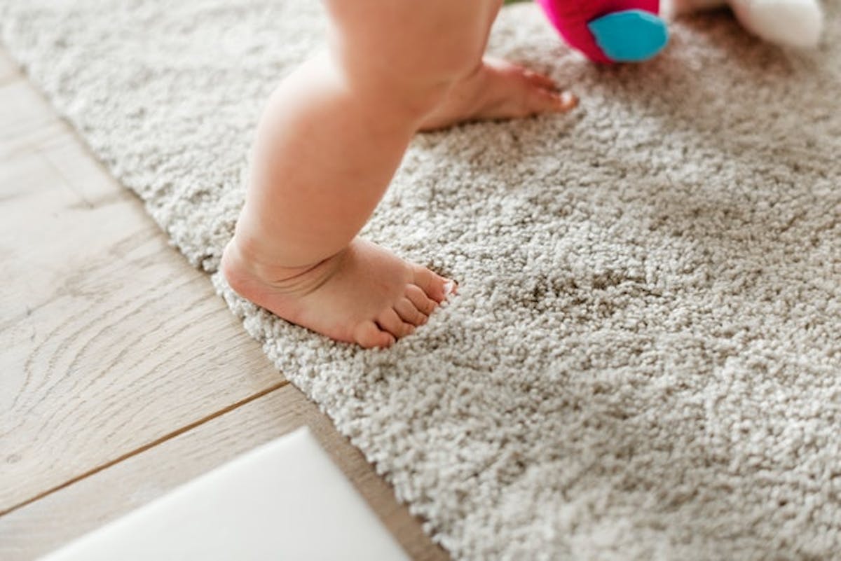 Rug Cleaning