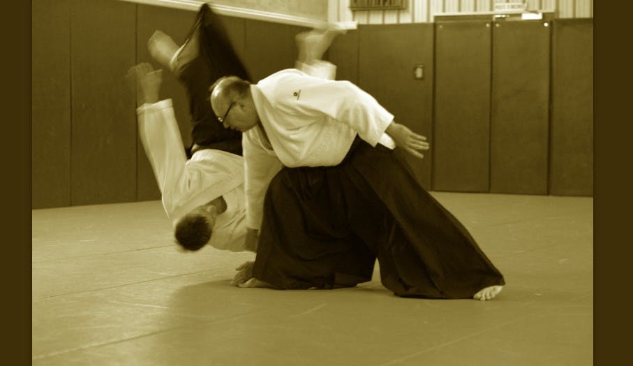 Techniques d'Aikido présentées par Didier Pénissard, enseignant à Parthenay