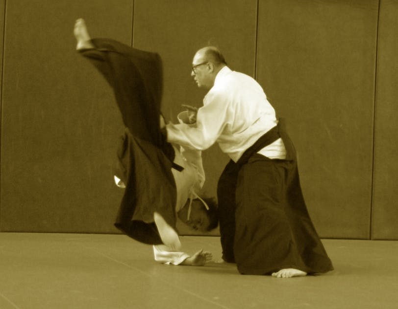 Techniques d'Aikido présentées par Didier Pénissard, enseignant à Parthenay
