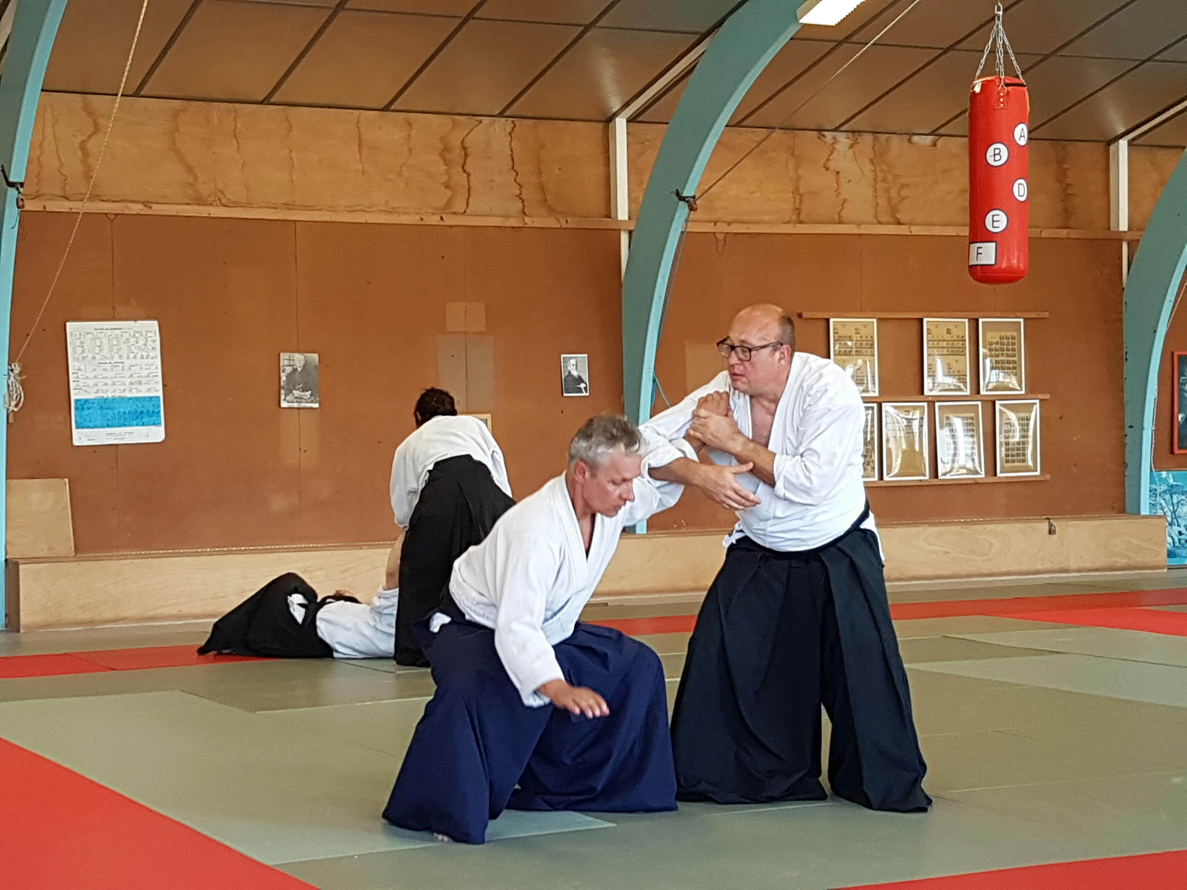 Techniques d'Aikido présentées par Didier Pénissard, enseignant à Parthenay