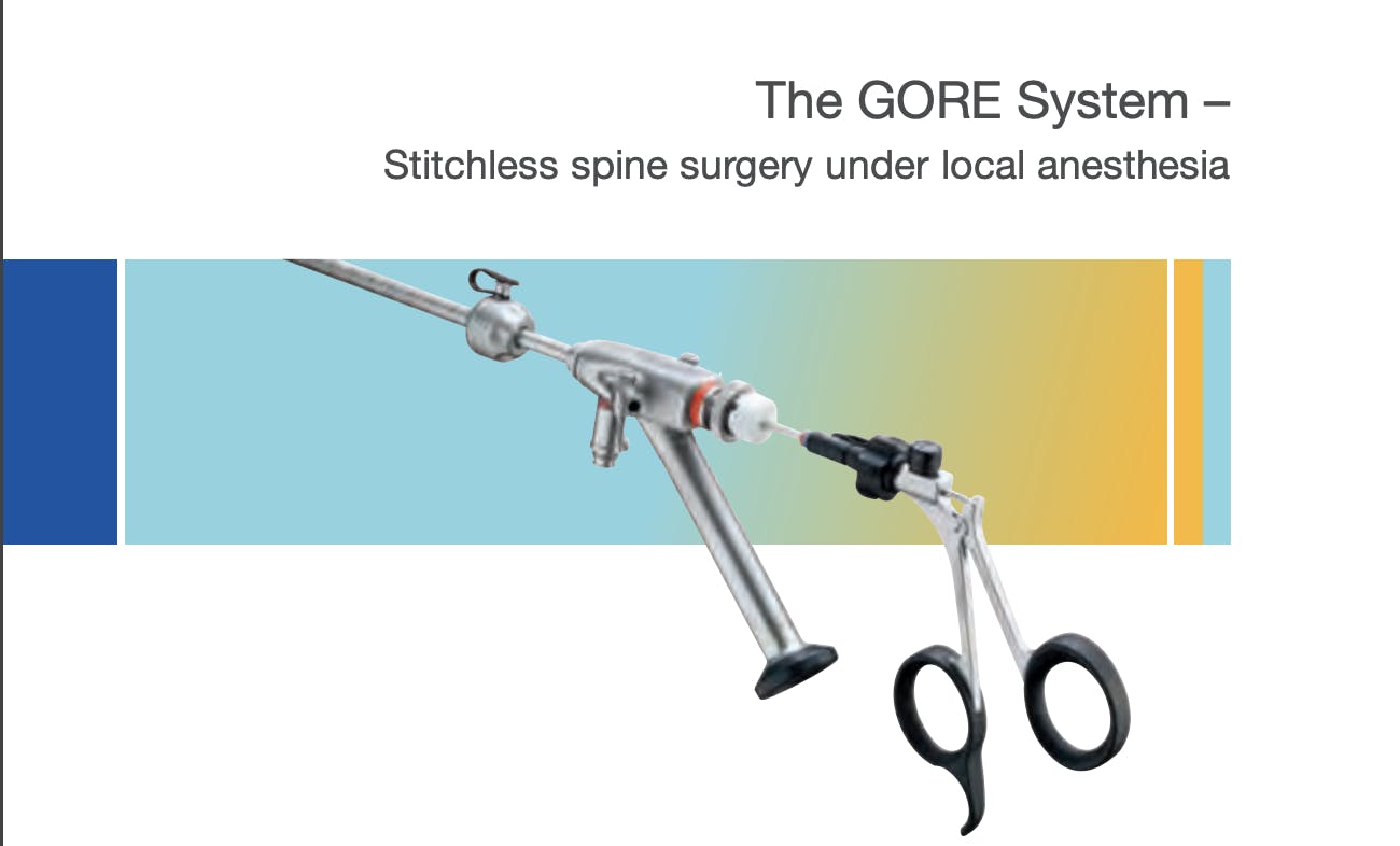 gore system for lumbar spine management