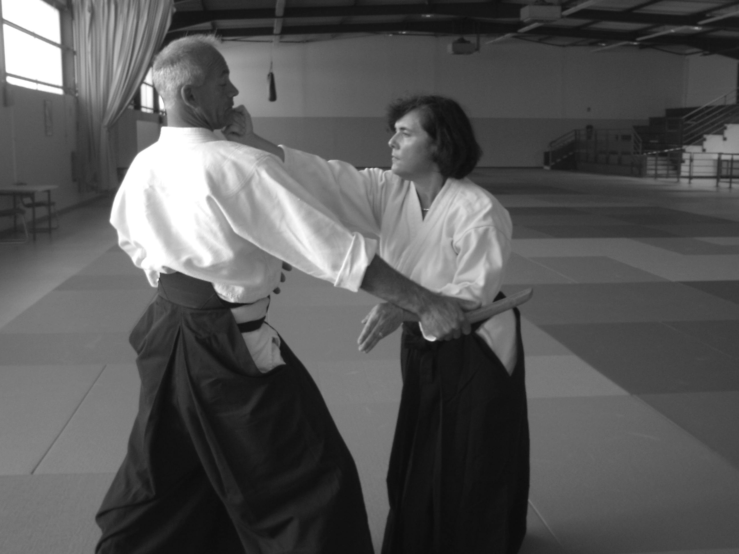 Techniques d'Aikido présentées par Didier Pénissard, enseignant à Parthenay