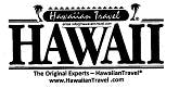 Hawaii Vacation Travel Agent Copy 1