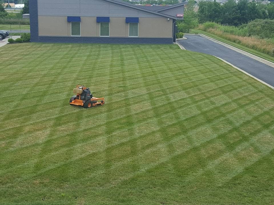Professional Mowing