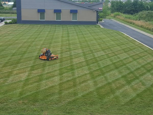 Professional Mowing