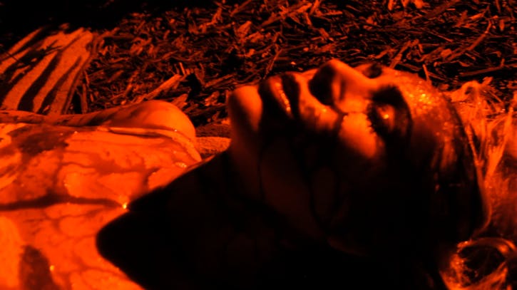 HORROR GENRE NUMBERS