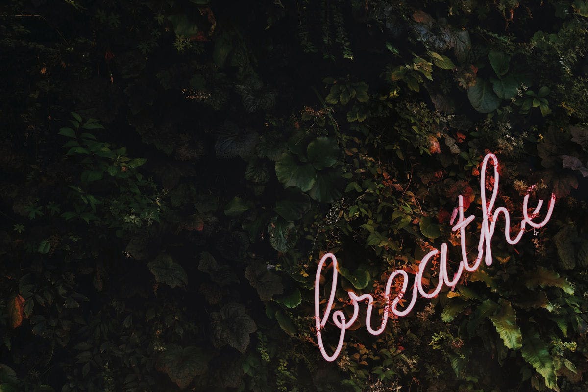 Relax and build<br>beautiful sites