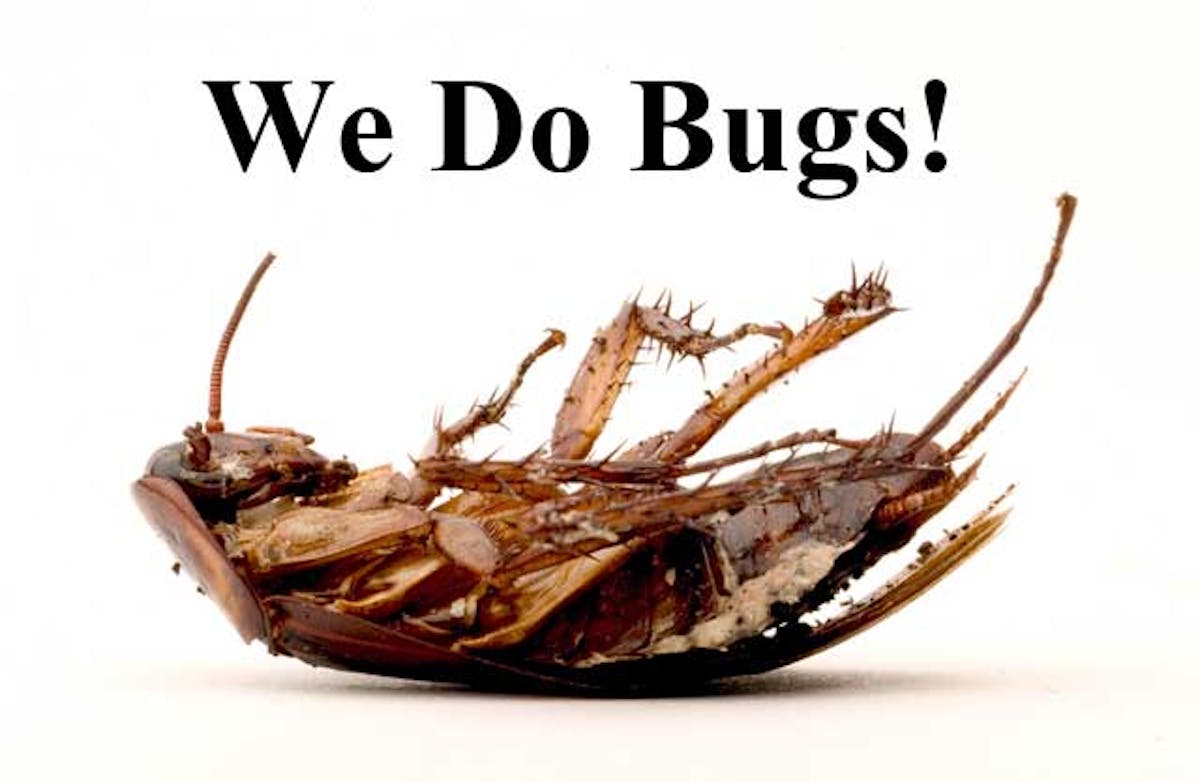 We Get Rid of BUGS!