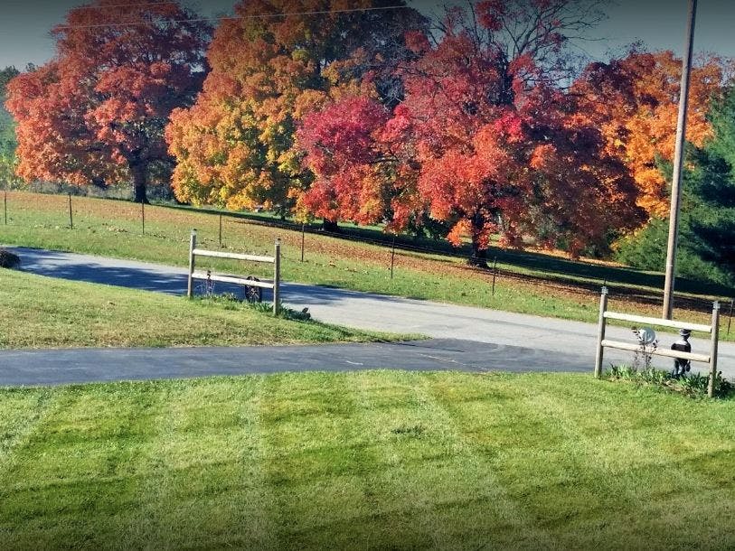 Leaf Removal