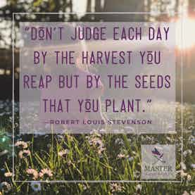 Don't Judge Each Day By the Harvest You Reap But By the Seeds That You Plant