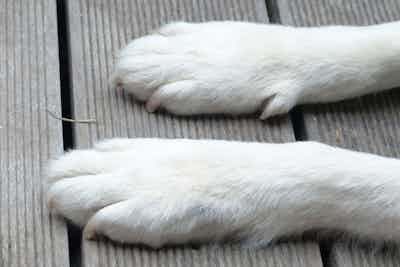 Clip - Trim and Polish