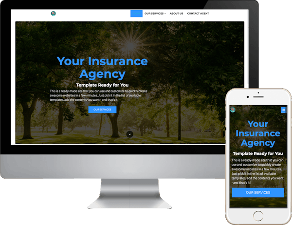 Insurance Agency