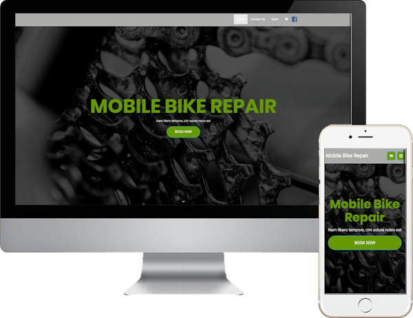 Mobile Bike Repair