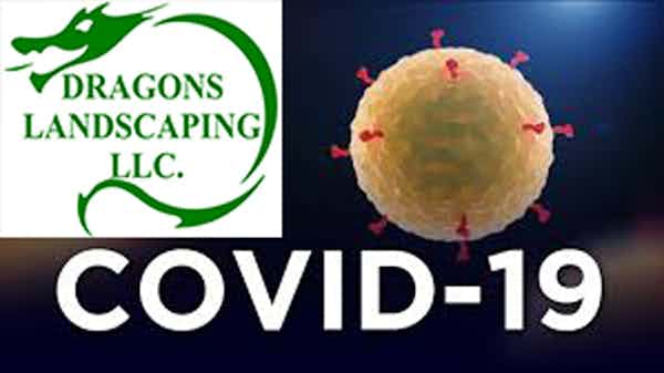 Dragons Landscaping's Statement on COVID-19