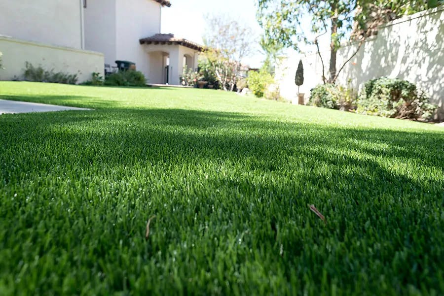 Artificial Turf in Placer County