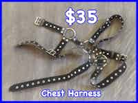 Leather Chest Harness