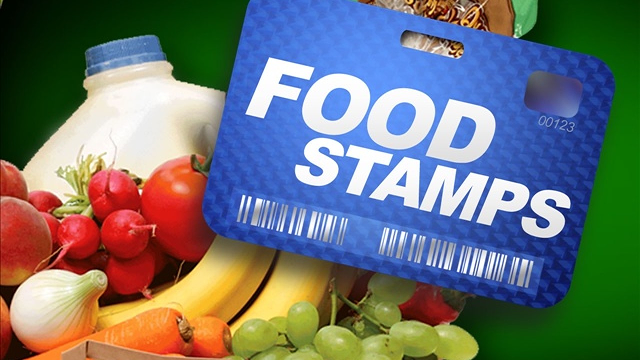food stamp application fl