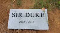 R.I.P. Sir Duke, Part 4 – Paying Our Respects