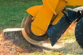 STUMP GRINDING & REMOVAL