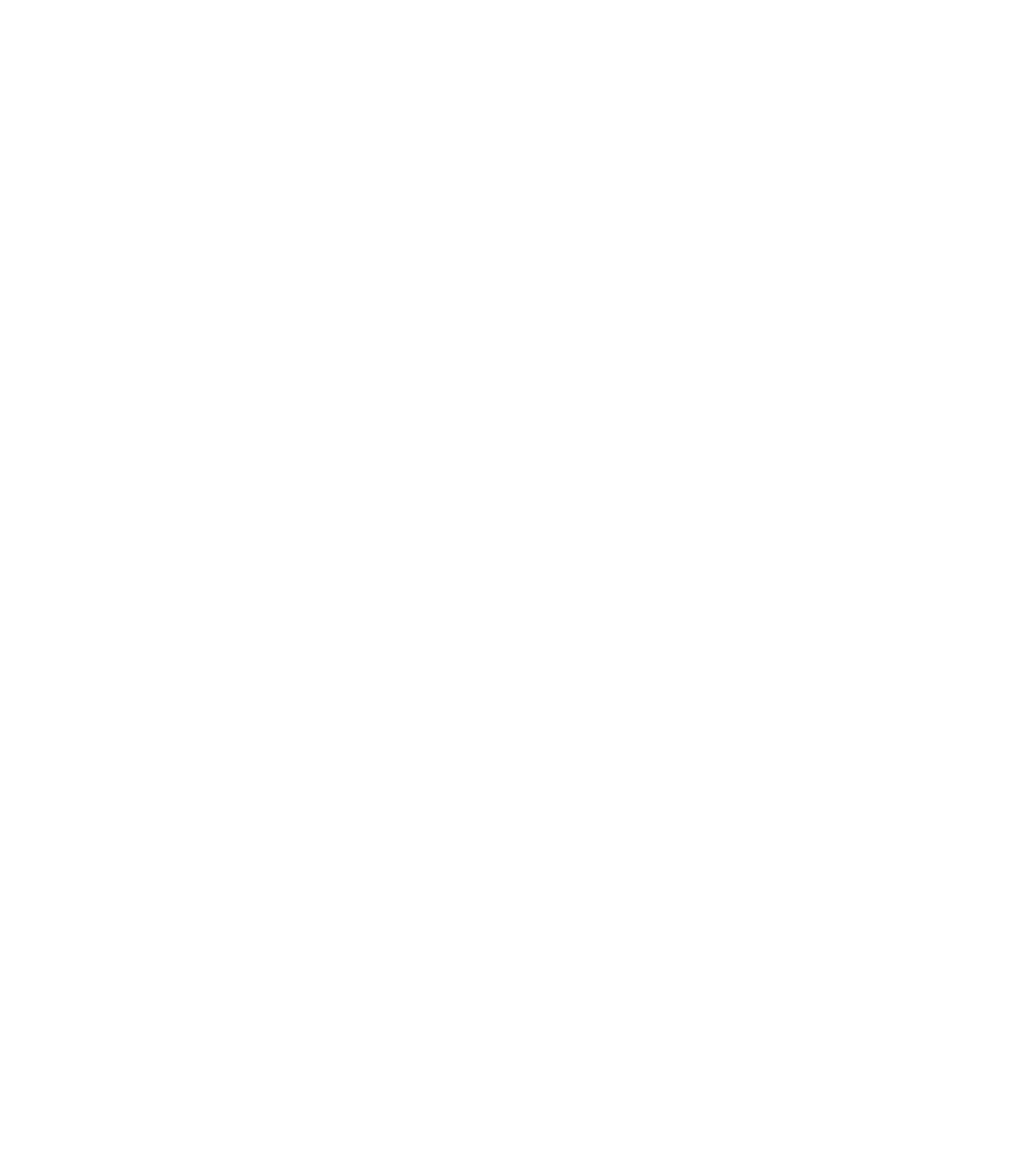 Irish Tourist Industry
