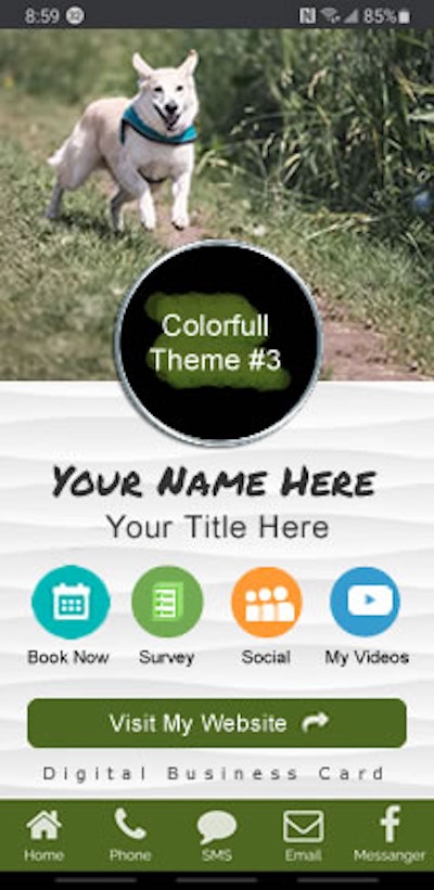 Digital Business Card - Color-3