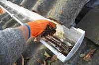 Gutter Cleaning & Repairs