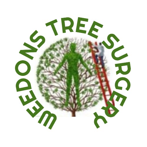 Tree Surgeons Nottingham