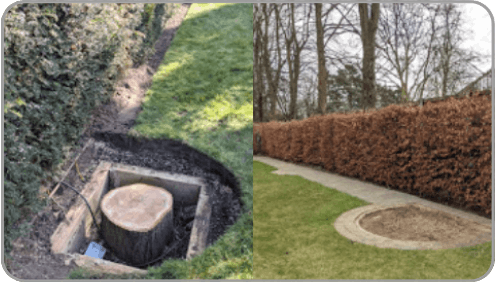 Tree Stump Removal Nottingham