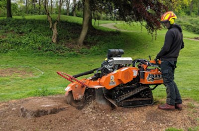Stump Removal