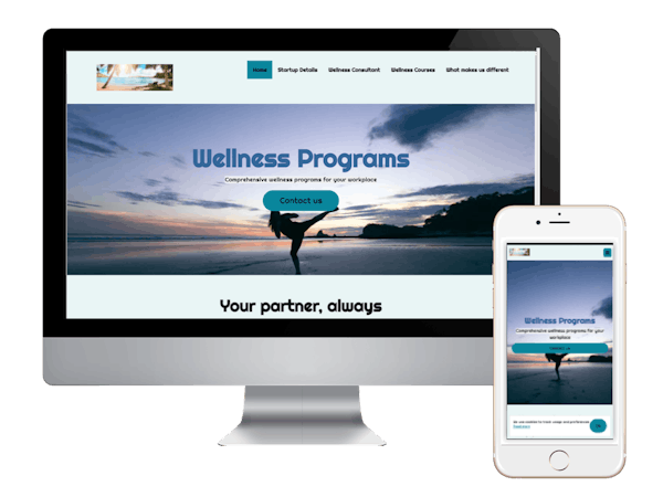 Wellness Programs