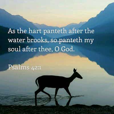 My Soul Thirsts For God, The Living God