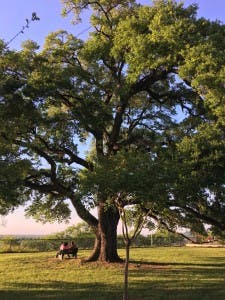 Faith: The Gift and The Struggle