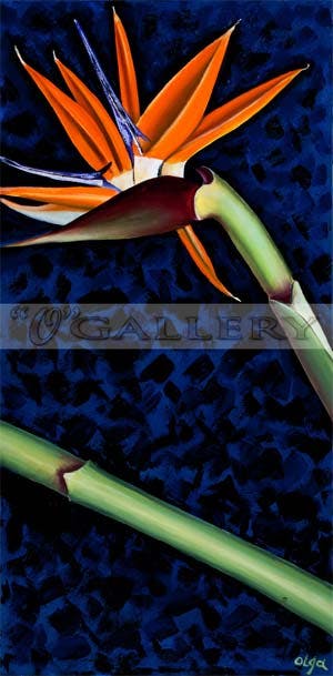 "Bird Of Paradise"