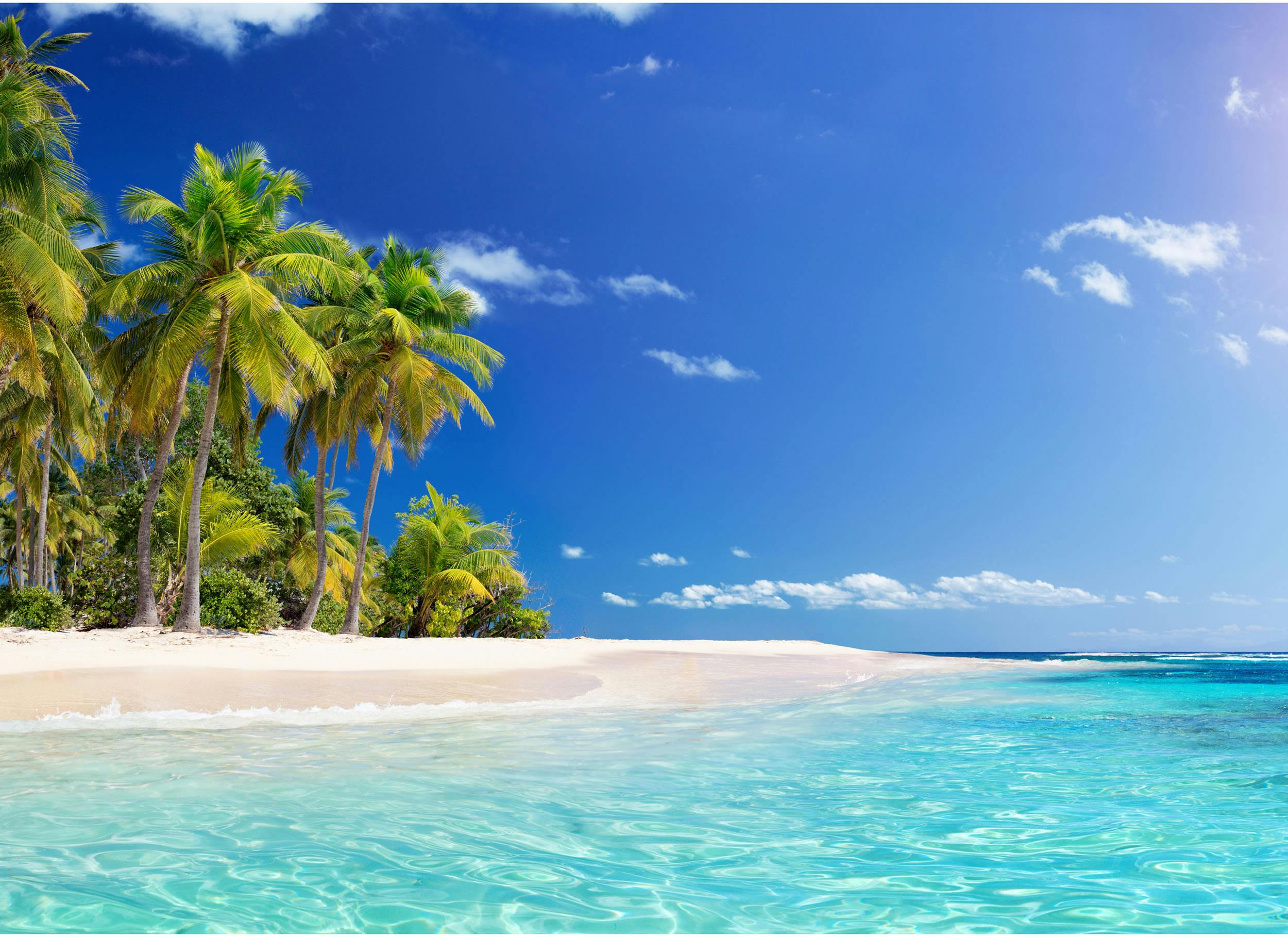 Market America SHOP.com Digital Business Card 9/12/2024