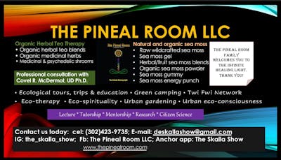 The Pineal Room 