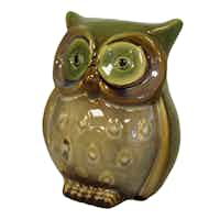 Green Ceramic Owl Money Box