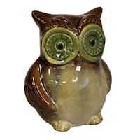 Brown Ceramic Owl Money Box