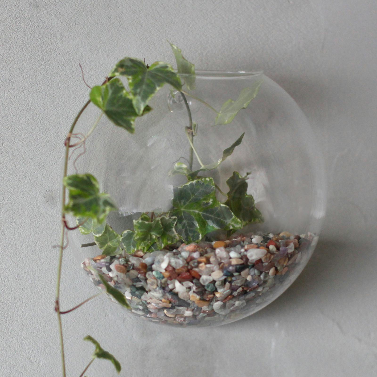 All Glass Terrarium - Small Hanging Wall Bowl Image