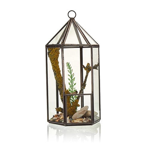 Glass Terrarium - Lantern Shape Image