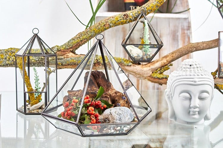 Glass Terrarium - Lantern Shape Image