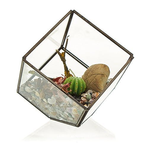 Glass Terrarium - Cube on Corner Image