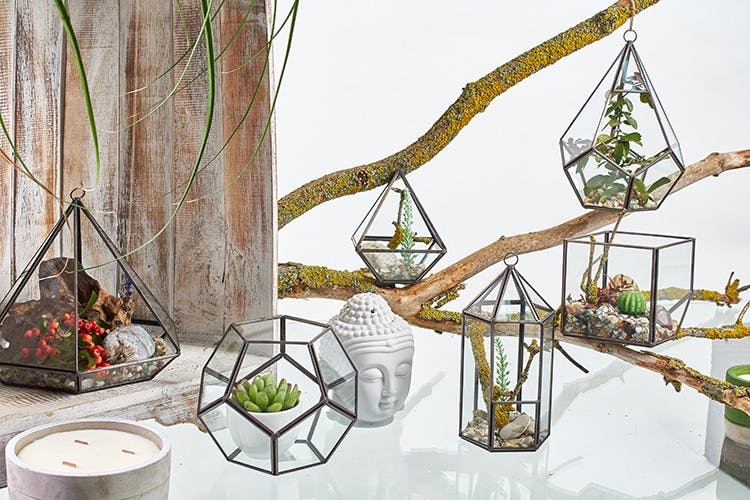 Glass Terrarium - Cube on Corner Image