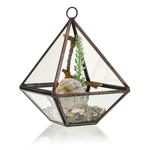 Glass Terrarium - Small Diamond Image