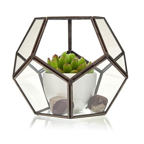 Glass Terrarium - Large Octagon Image