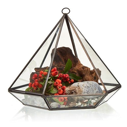 Glass Terrarium - Large Diamond Image