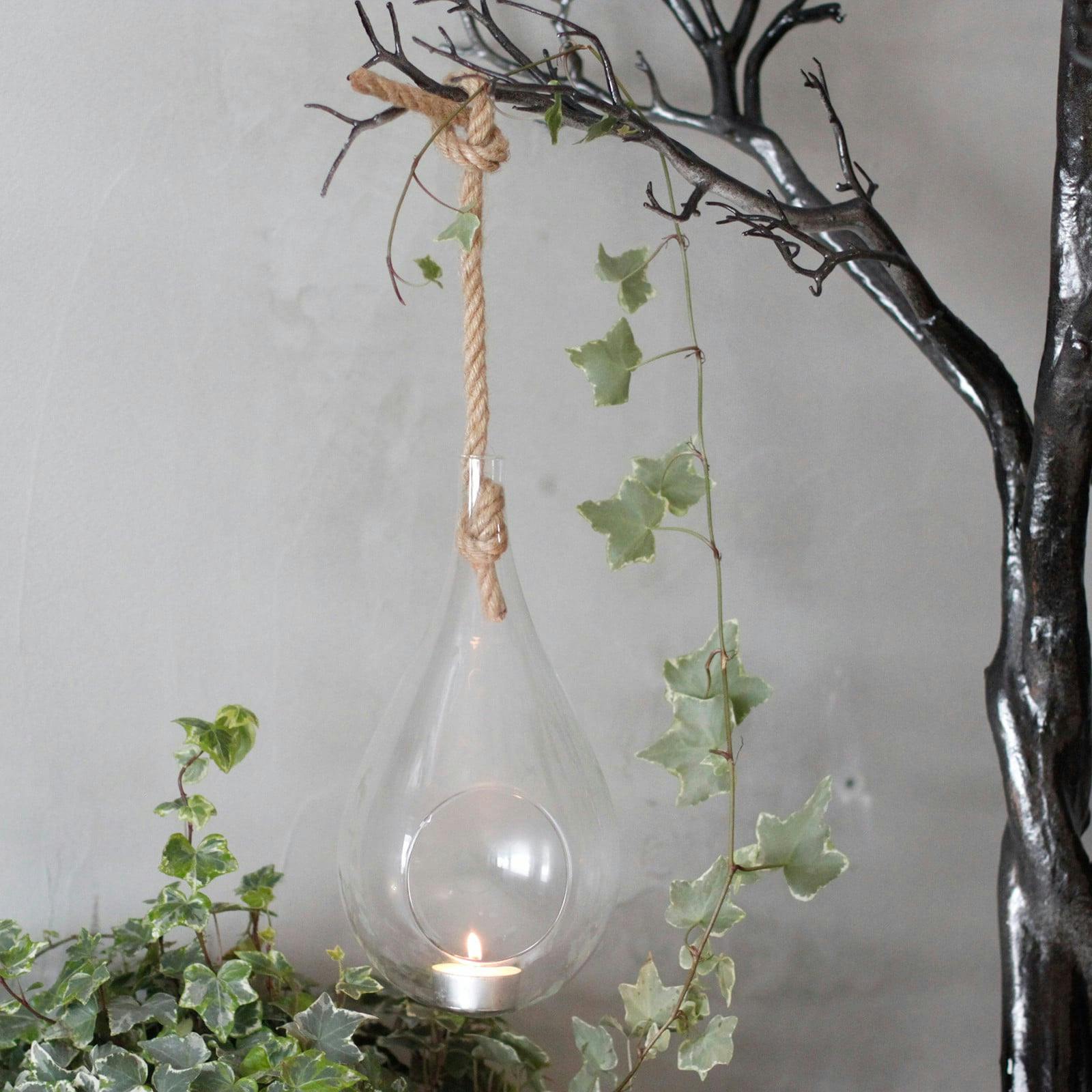 All Glass Terrarium - Hanging Teardrop on Rope Image