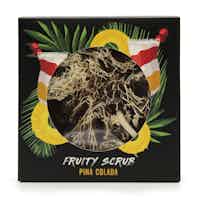 Fruity Scrub Soap on a Rope - Pinacolada
